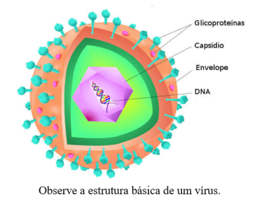 virus1